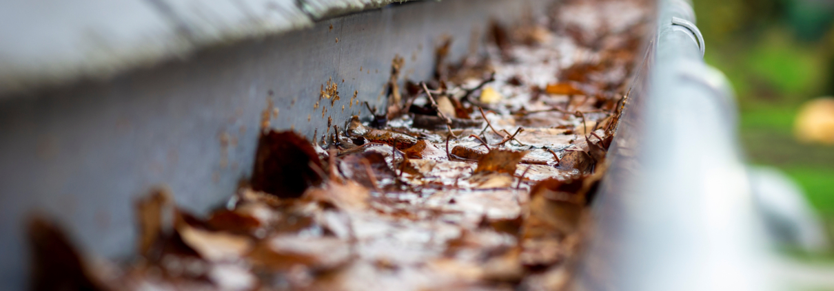 A,Portrait,Of,A,Roof,Gutter,Clogged,By,Many,Fallen
